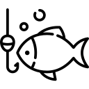 امکان ماهیگیری در قایق